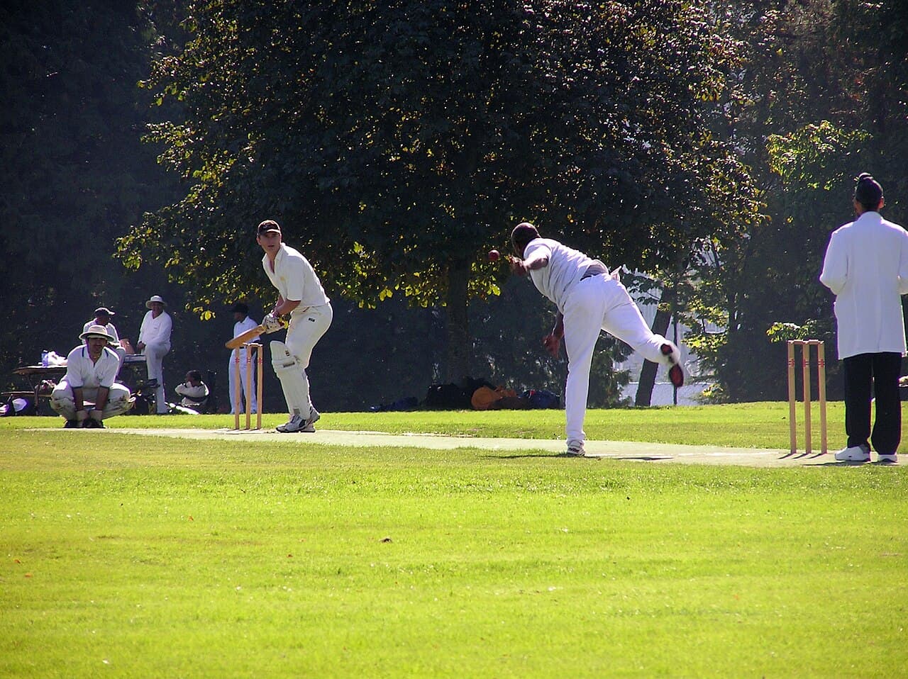Cricket match in progress in Stanley Park, Vancouver