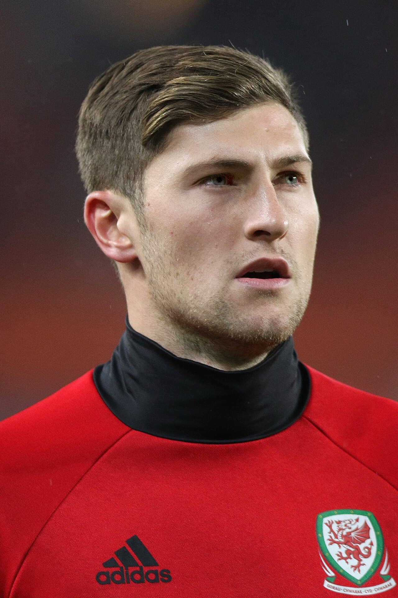 2018 FIFA World Cup qualification – UEFA Group D) – Austria (red shirts) vs. Wales (white shirts) 2-2 (1-2) – 2016-10-06 in Vienna, Ernst-Happel-Stadion – The photo shows Ben Davies (Wales).