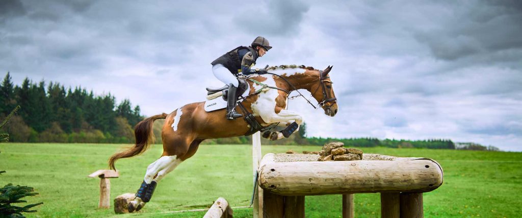 Equestrian