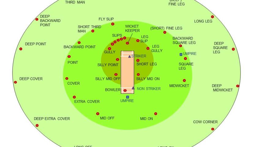Cricketing Fielding Positions