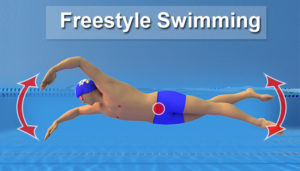 Freestyle Swimming