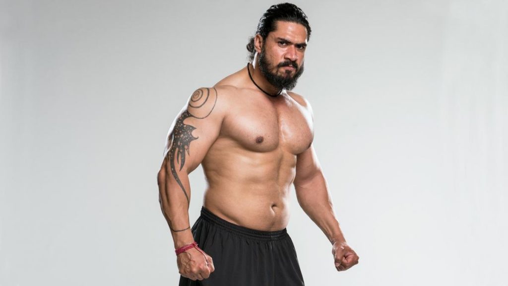 Indian Wrestlers in WWE