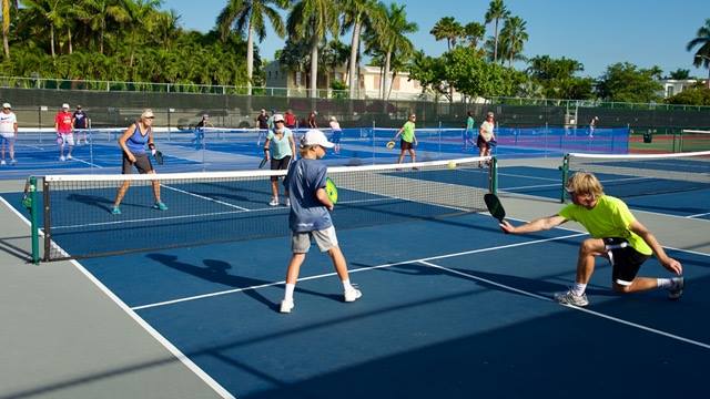 Pickleball Rules