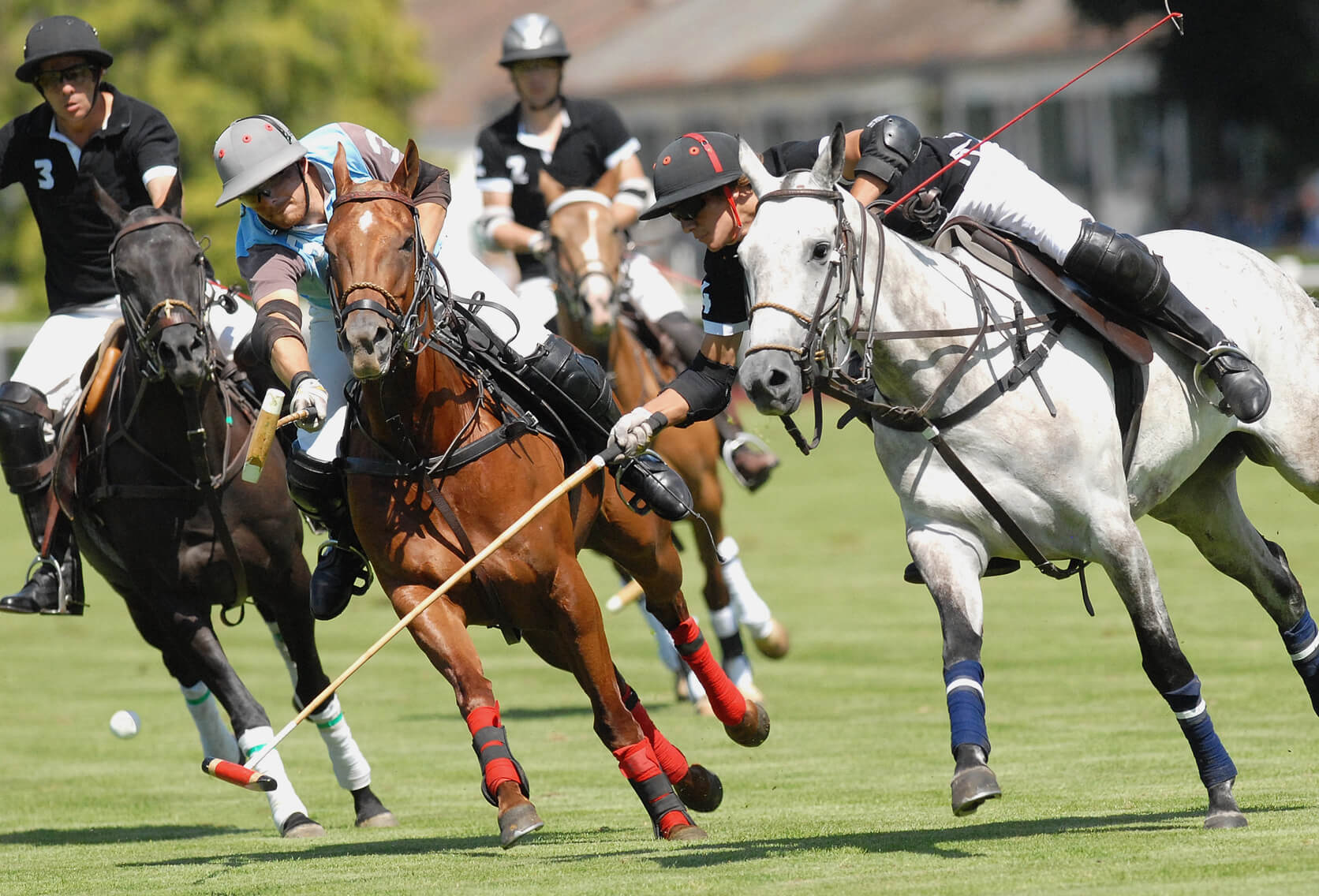 Polo Players