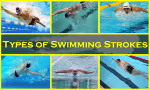 Swimming Strokes Types