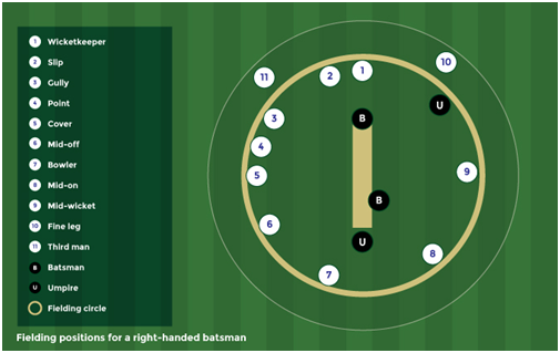 Cricket Rules Images