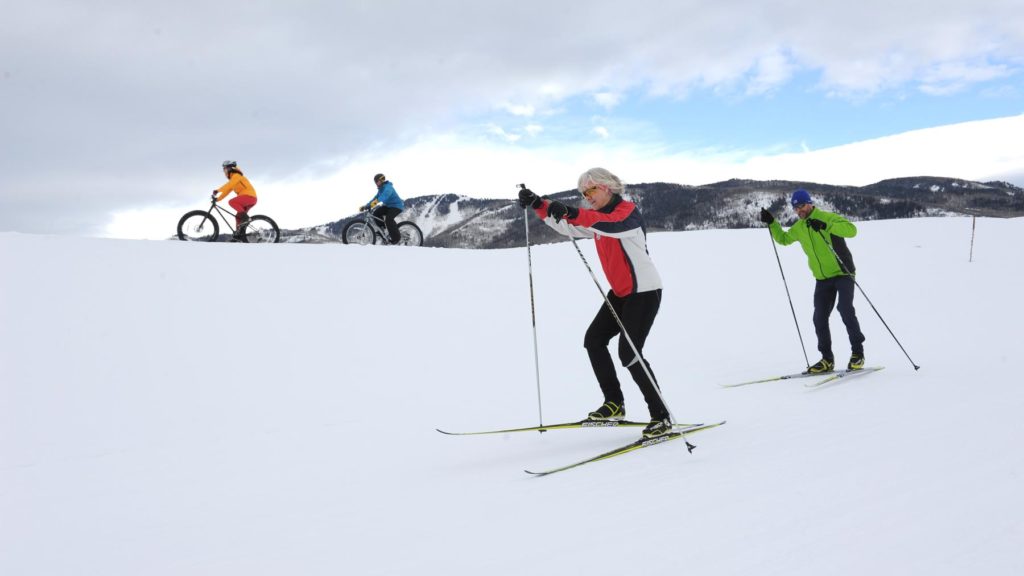Types of Nordic Skiing