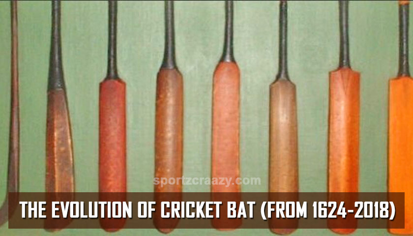 cricket bat