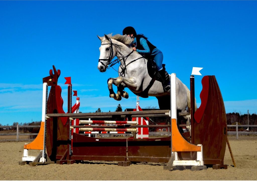rules for Show Jumping