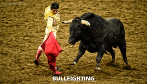 Bullfighting
