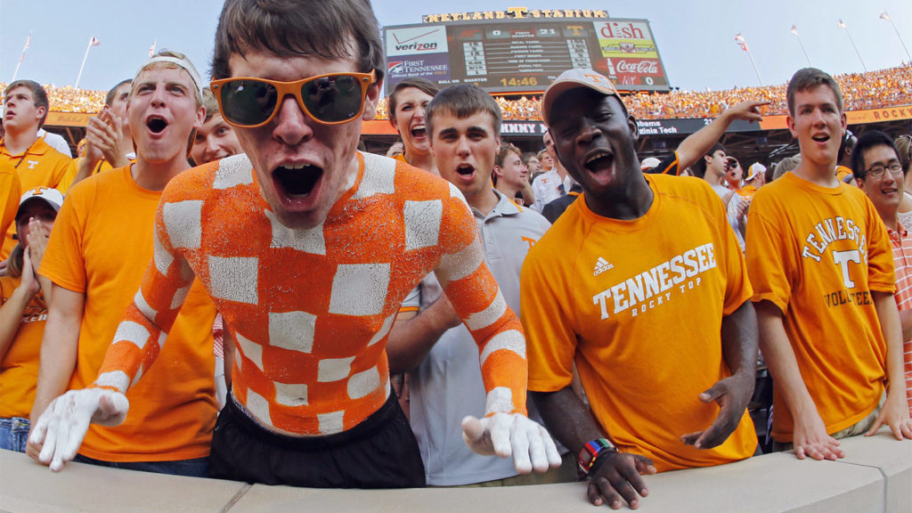 Crazy Football Fans