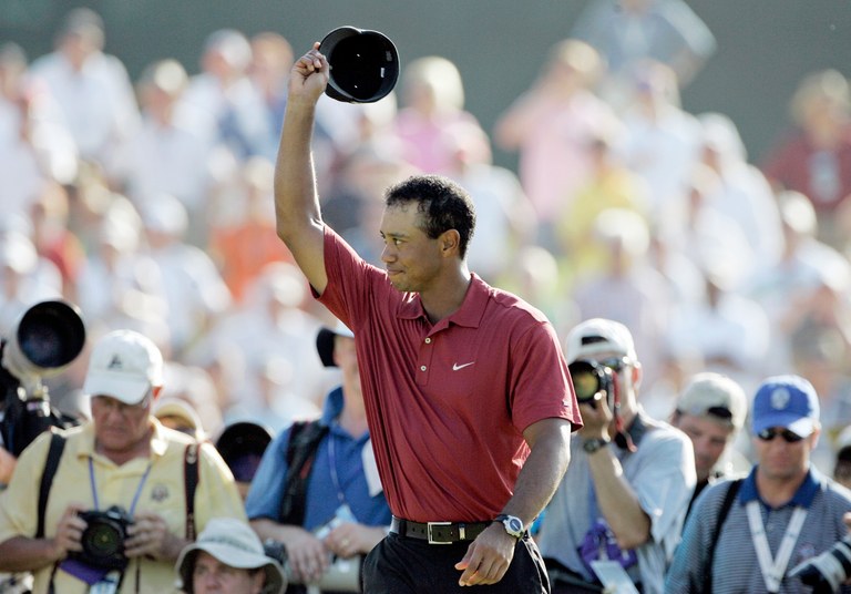 Successful Players in the WGC
