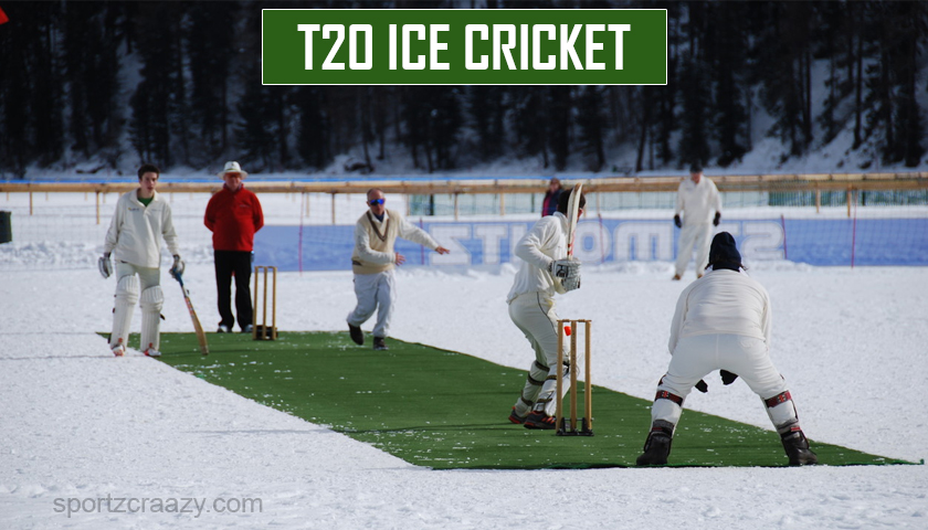 T20 Ice Cricket
