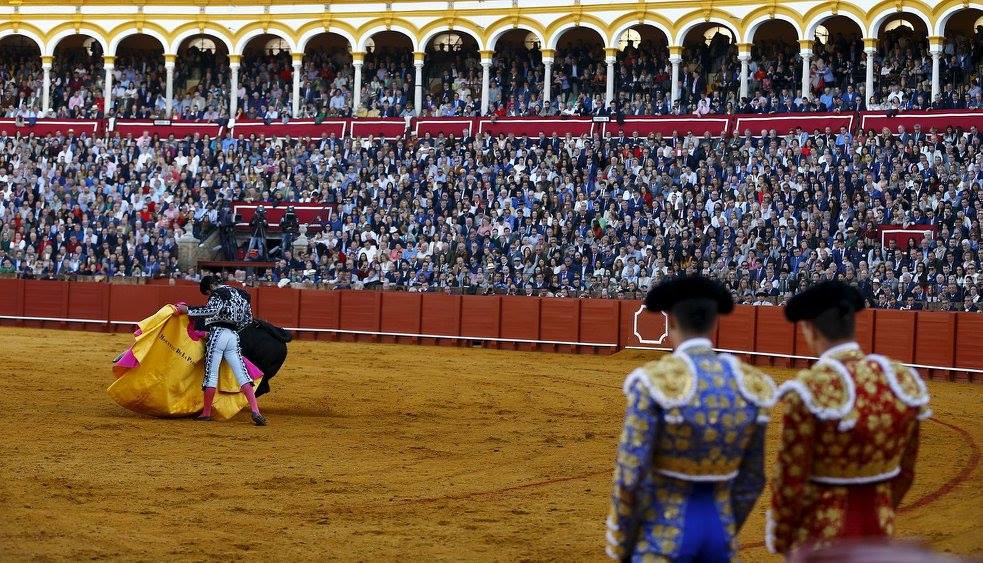 The Bullfighting Season