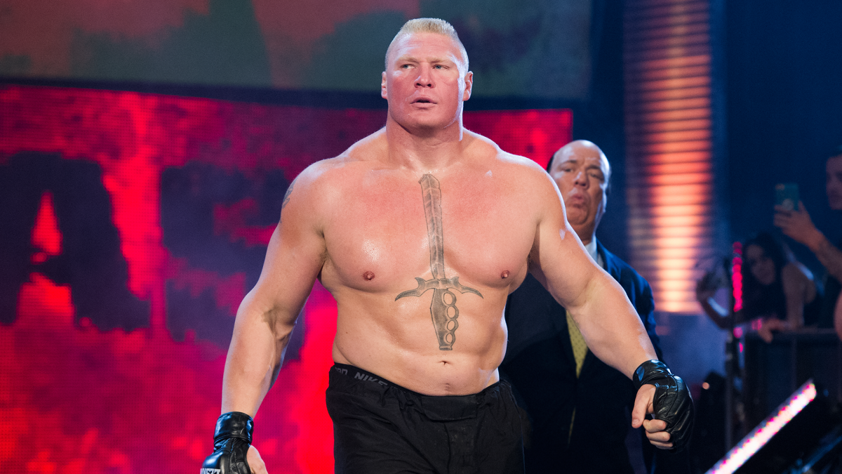 Brock-Lesnar , WWE Stars which Might Retire from WWE