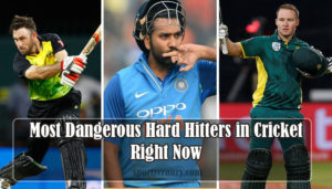 Hard Hitters in Cricket
