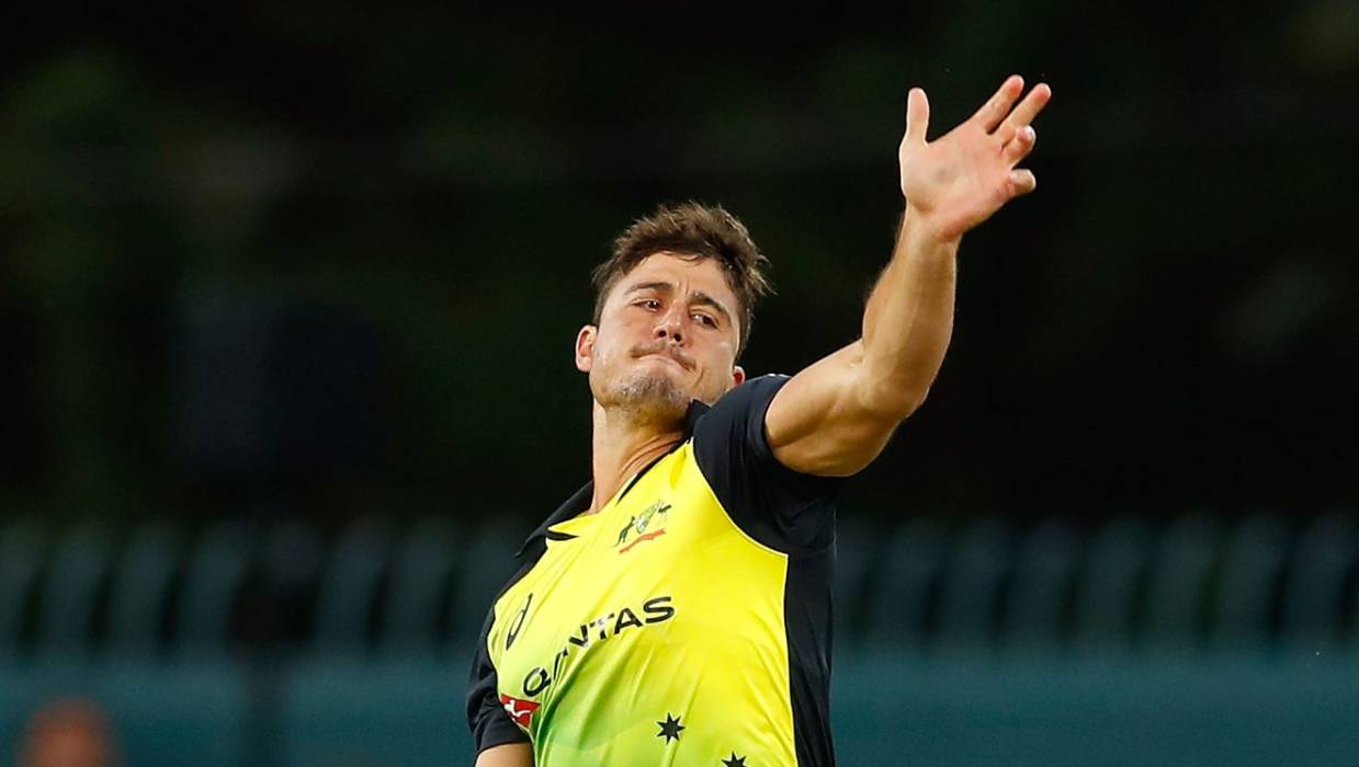 MARCUS STOINIS