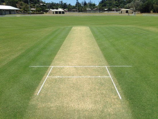 Cricket Pitch