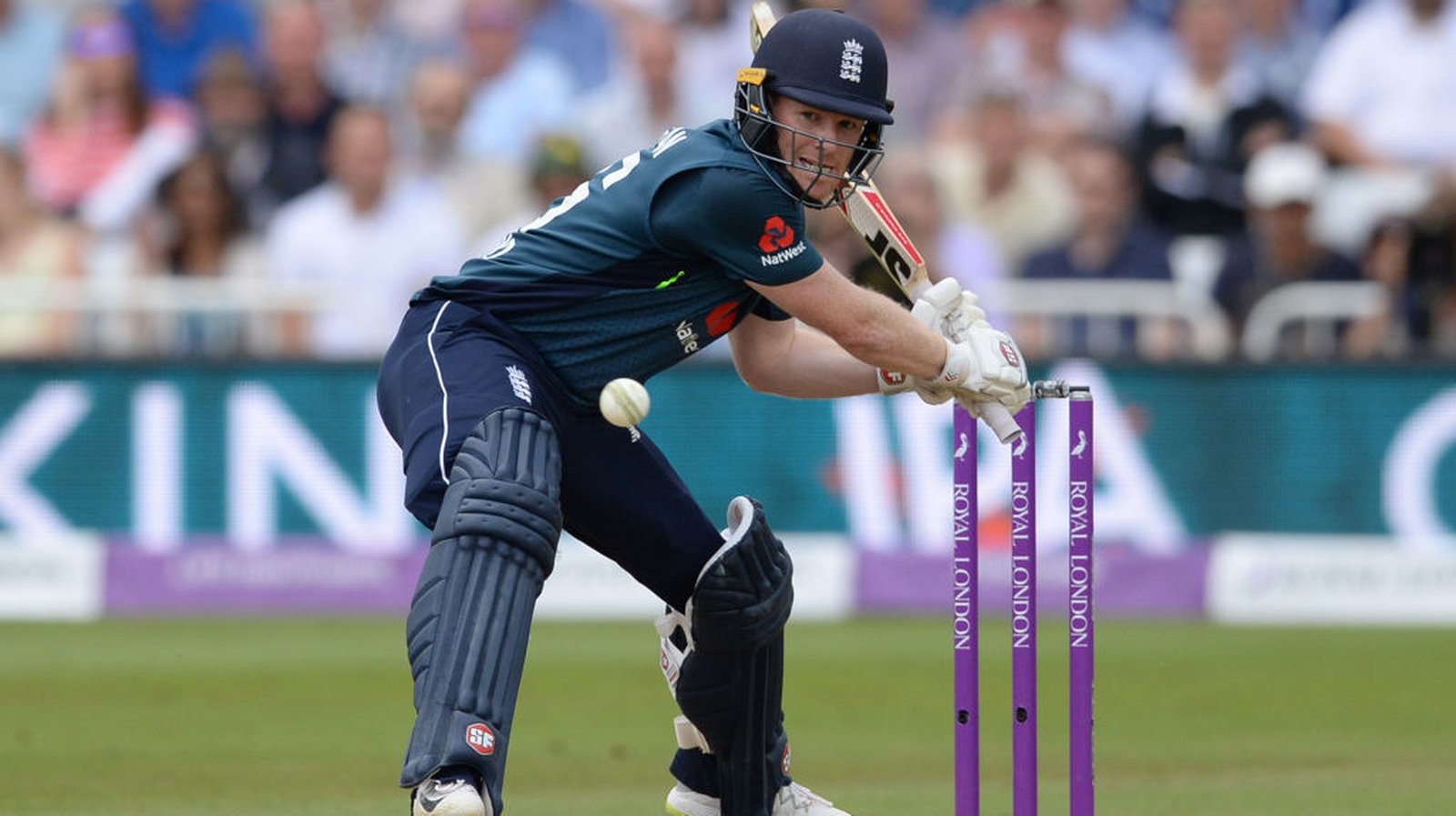 Eoin Morgan Most Sixes in T20I