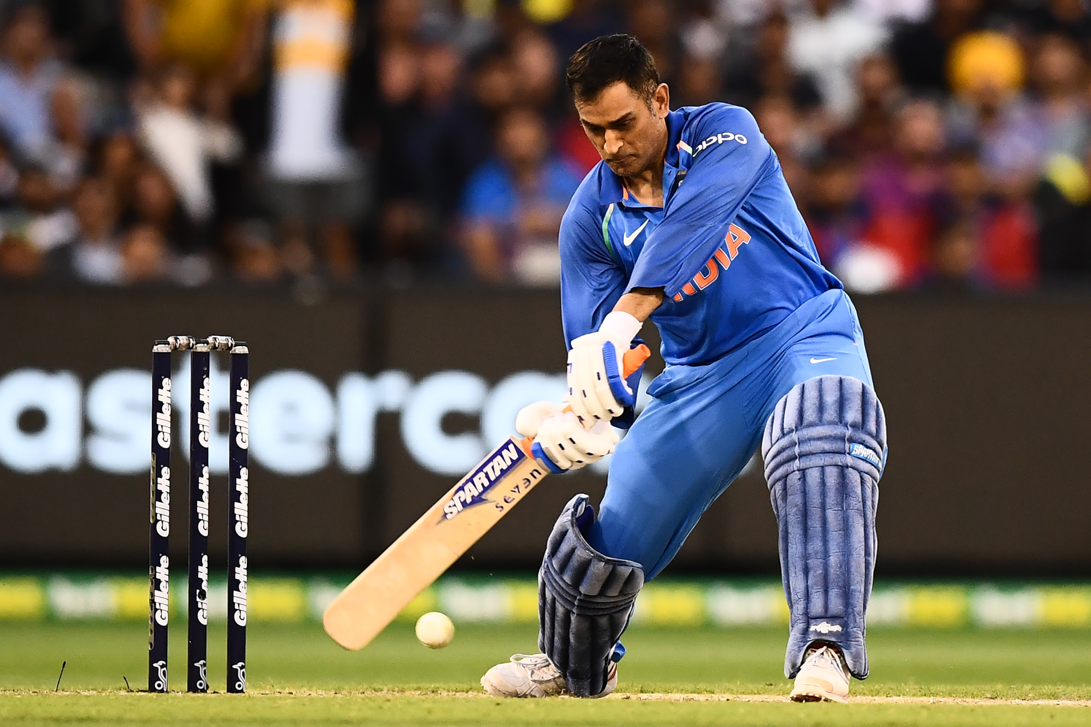 Ms Dhoni Pics