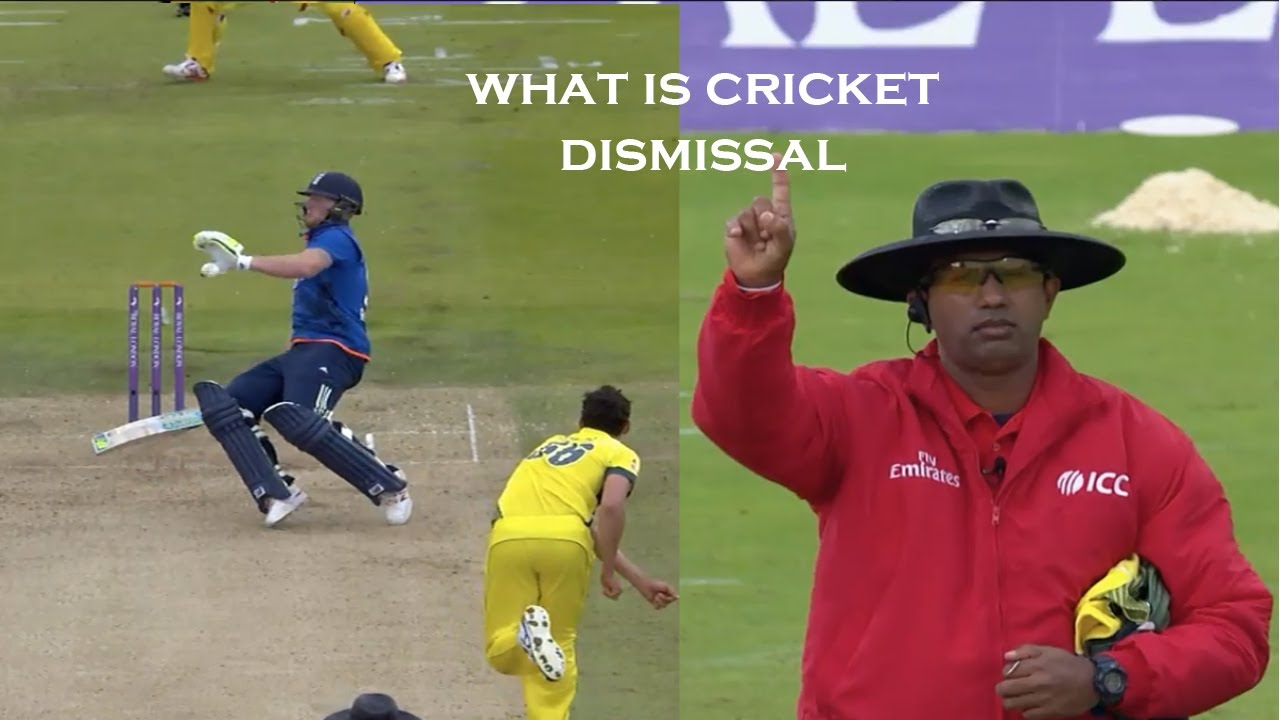Types of Dismissal in cricket