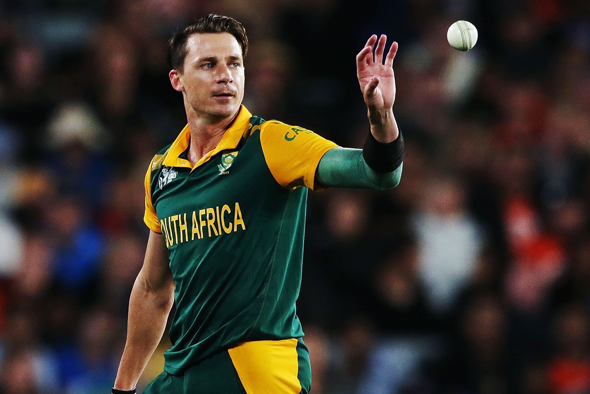 Dale Steyn Photo