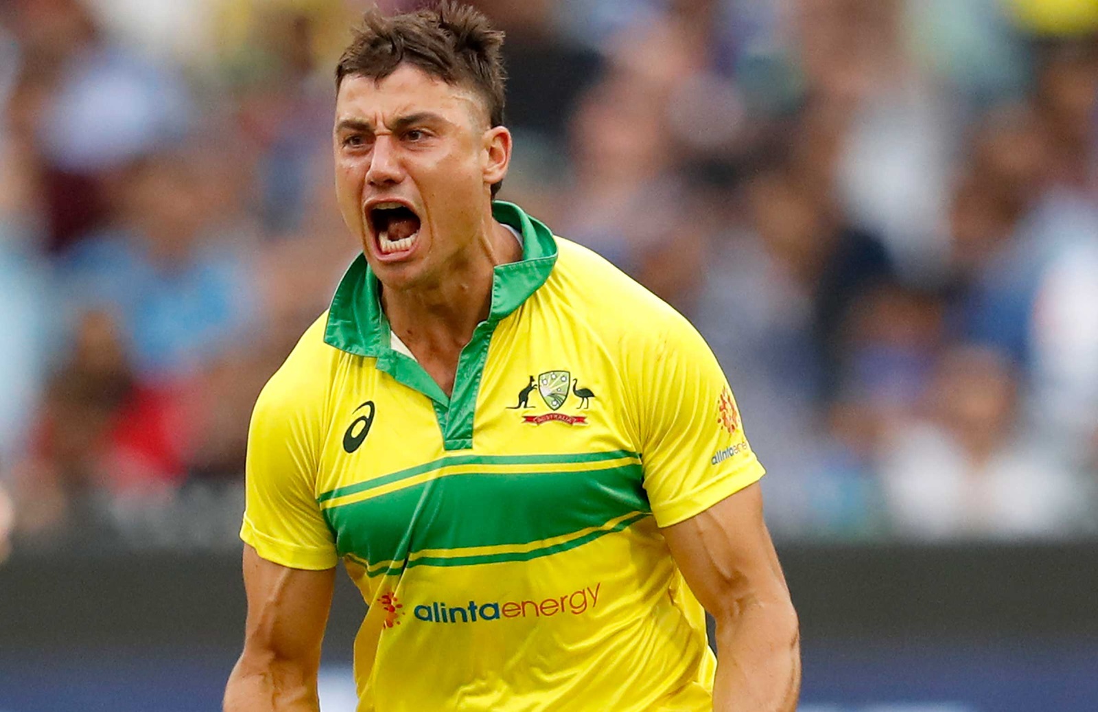 Marcus Stoinis