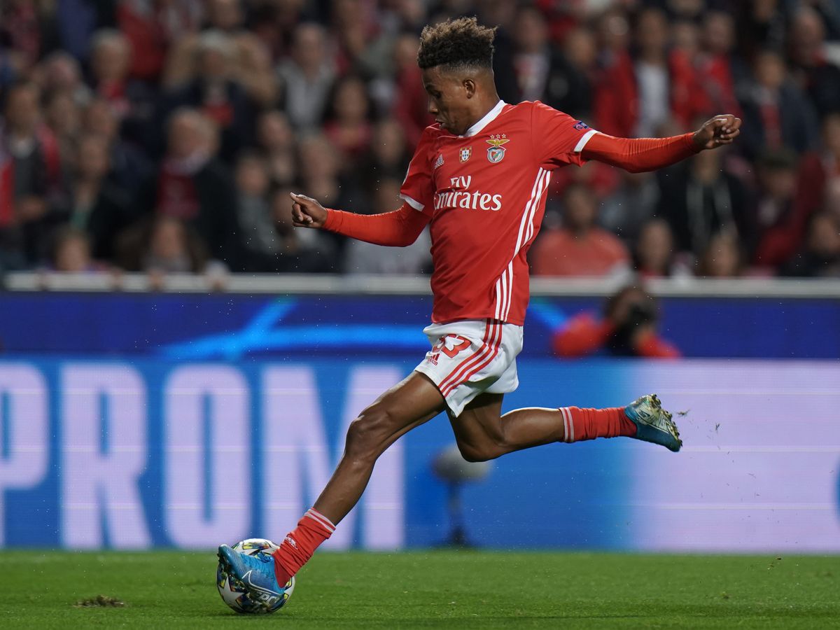 Tot-sign-gedson-fernades-from-benfica