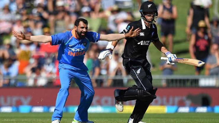 m.shami vs nz