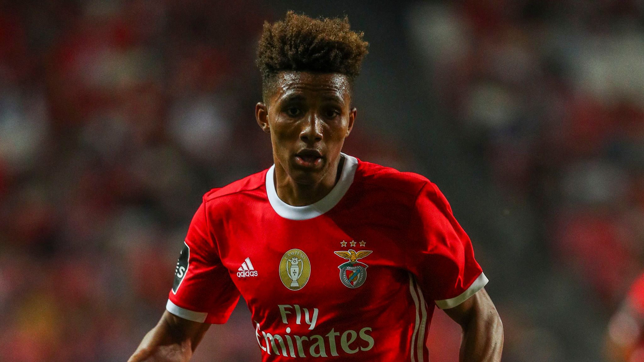 tottenham-sign-gedson-fernandes-on-loan
