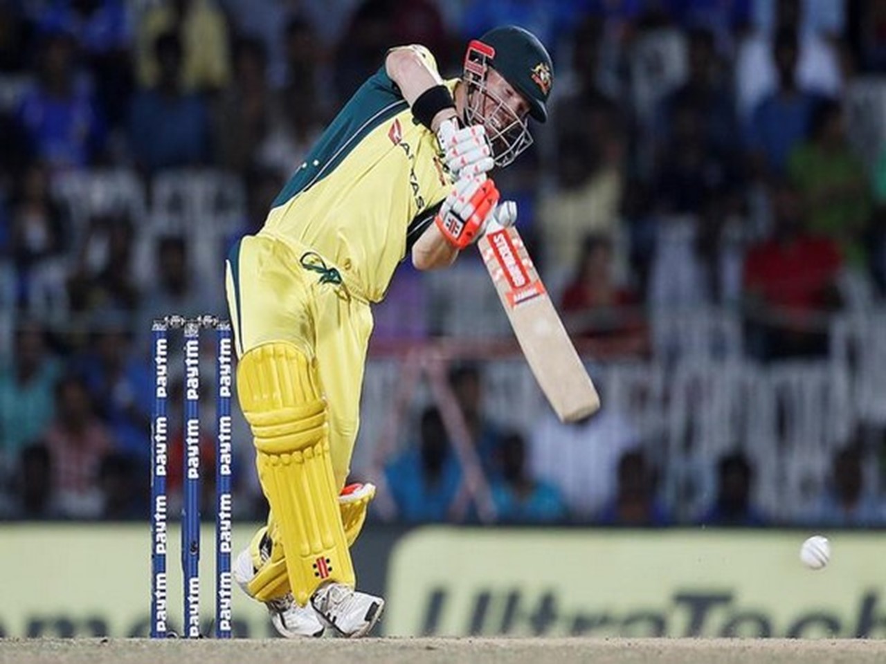 warner-facing-bumrah-yorker