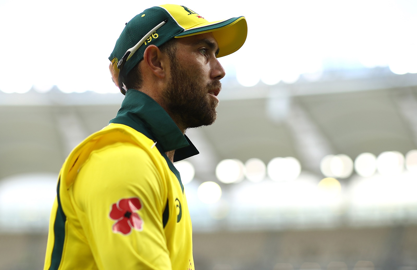 Glenn Maxwell Most Runs in a T20I Series