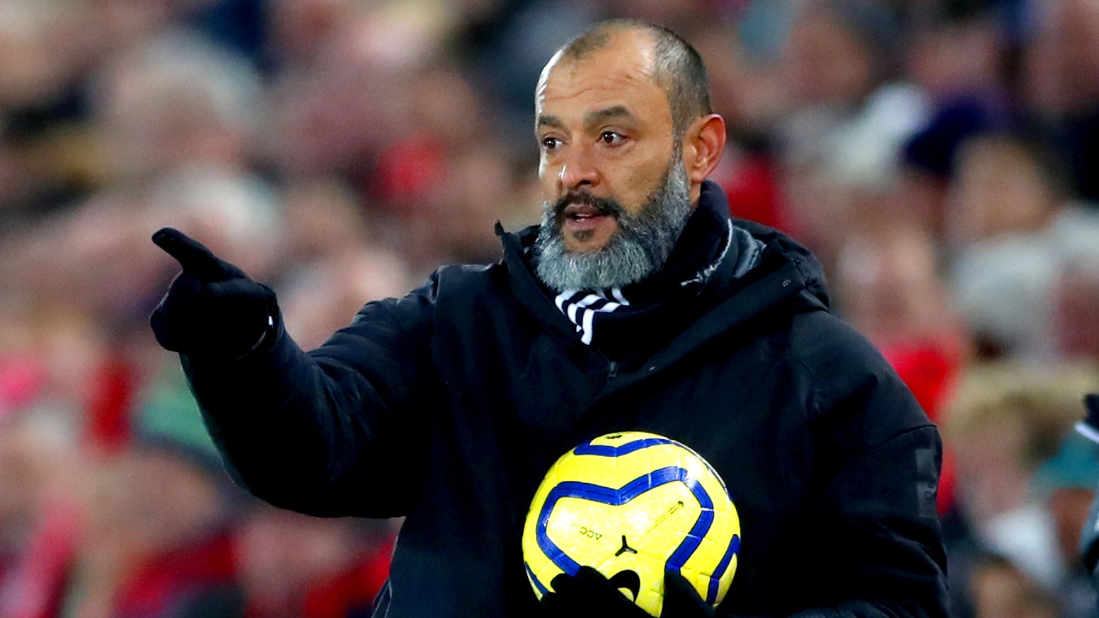 nuno-wolves-fc