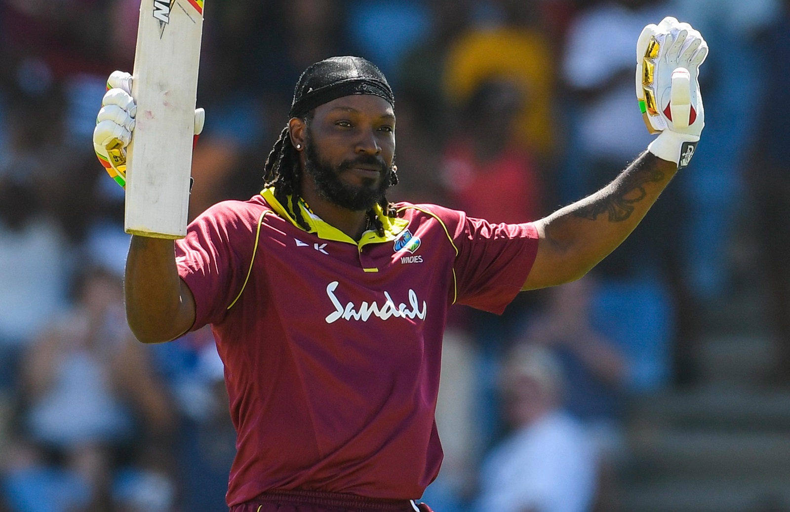 Chris Gayle photo