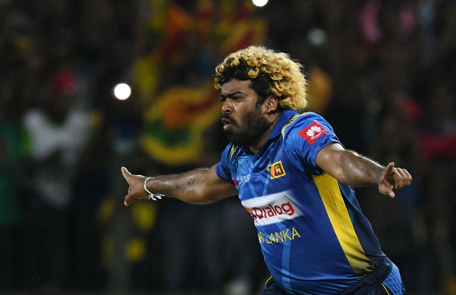 hat trick in ODI and T20 cricket