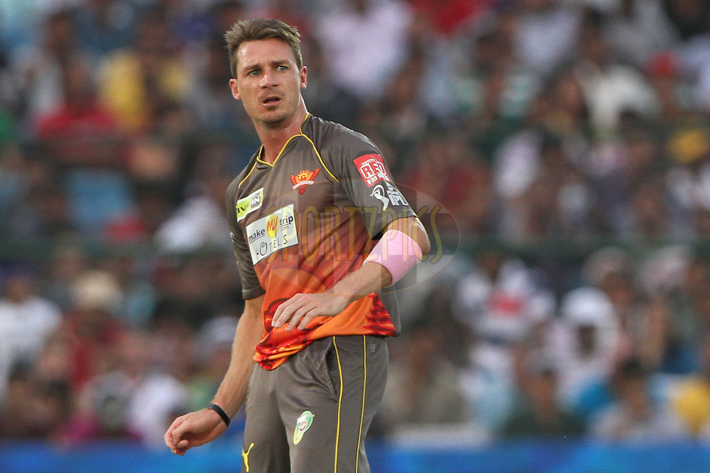 Dale Steyn in IPL 2013