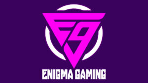 Enigma Gaming image