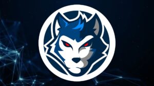 Pro League season 1 All you need to know about Reckoning Esports, Overview, Achievements and Live Streaming in detail