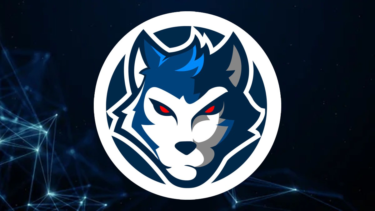 Pro League season 1 All you need to know about Reckoning Esports, Overview, Achievements and Live Streaming in detail
