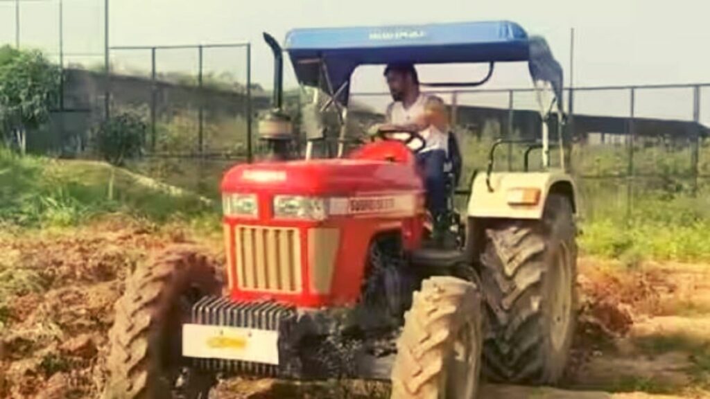 MS Dhoni