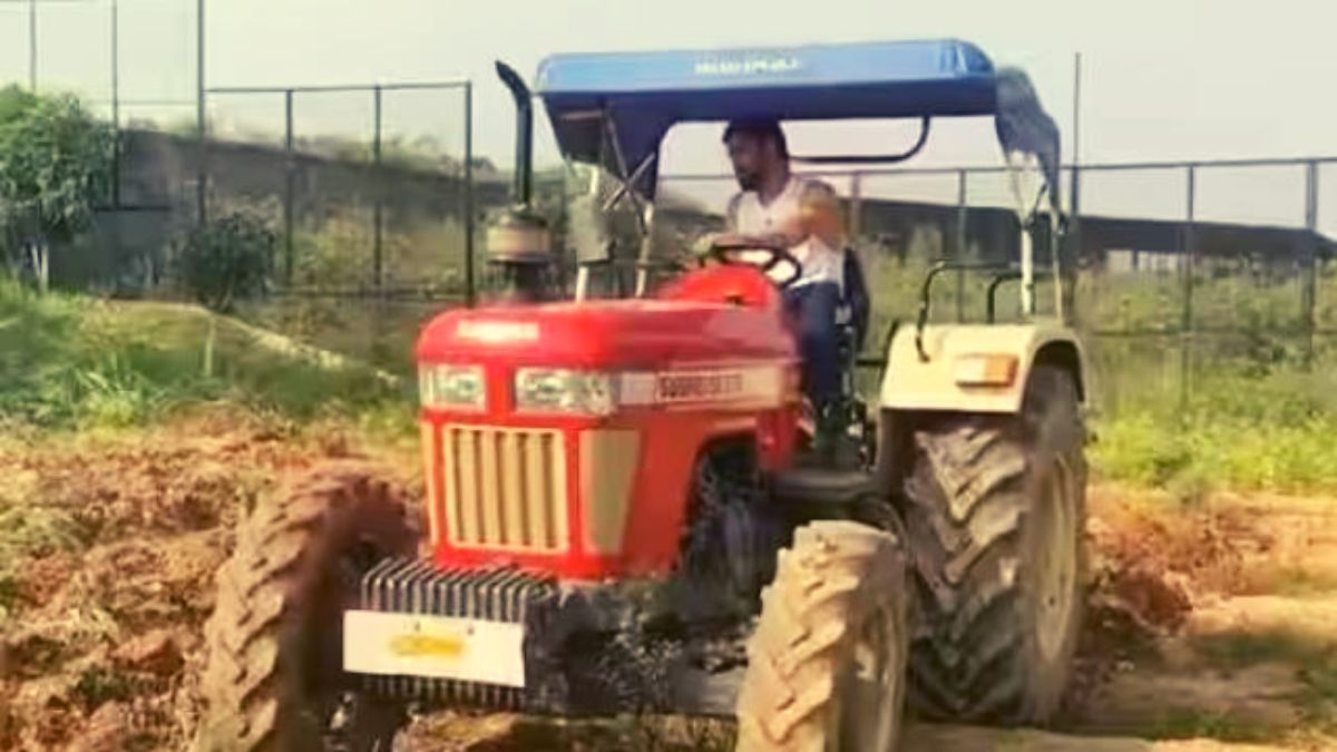 MS Dhoni