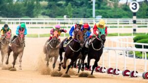 horse racing