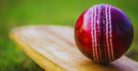 Impact of the Cricket World Cup on cricket betting and Gambling