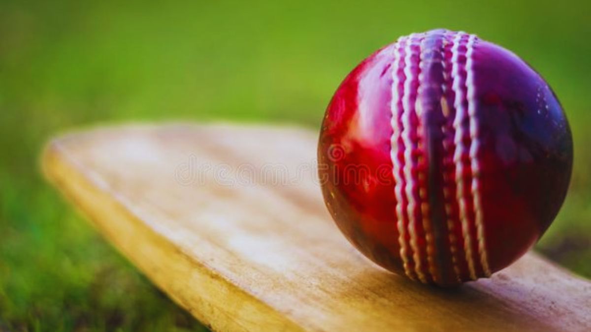 Impact of the Cricket World Cup on cricket betting and Gambling