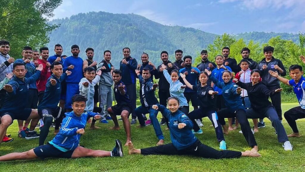 Wushu