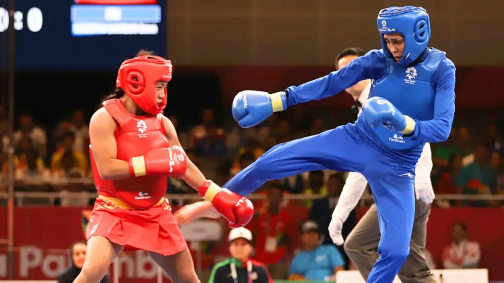 Wushu