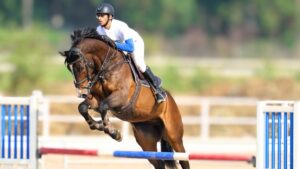 Equestrian