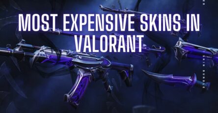 valorant, guns, skins, expensive