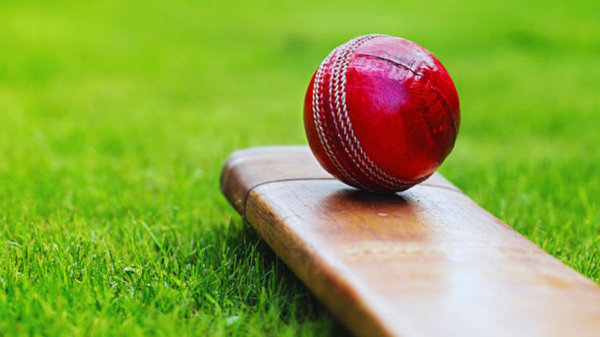 Cricket