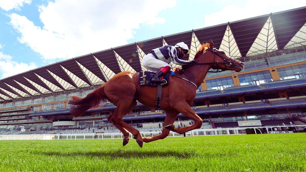 The best horse racing events to look forward to this summer